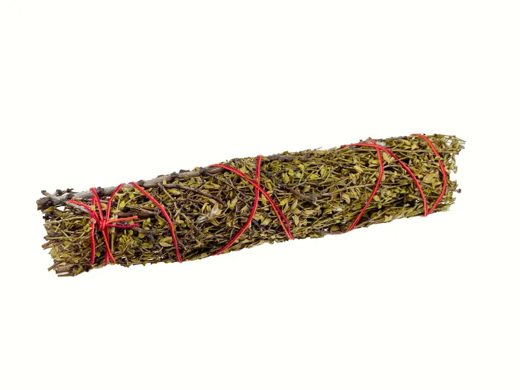 [vENC Chap-Bat] Chaparral Wand