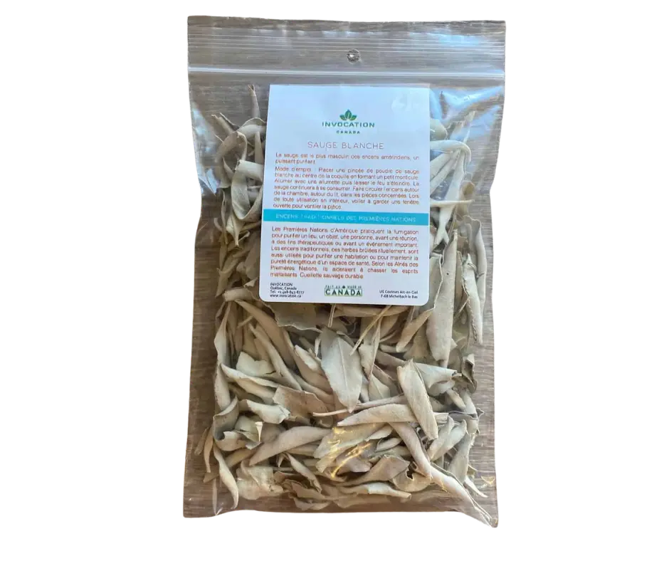 [vENC SauBl] White Sage Leaves